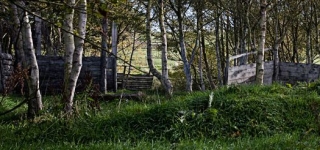  Nuestros campos de gotcha 